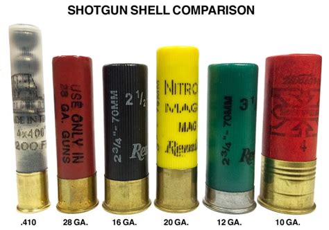 Best Shotgun Ammo 2024: Home Defense & Range - Pew Pew Tactical