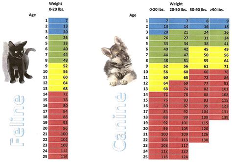 34 HQ Pictures Cat Weight Chart Funny : Use this chart as a guideline for feeding. Remember that ...