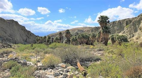 Hiking Along the San Andreas Fault in Southern California - Travel Dudes