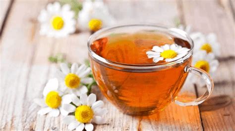 Chamomile Tea – Tea Perspective