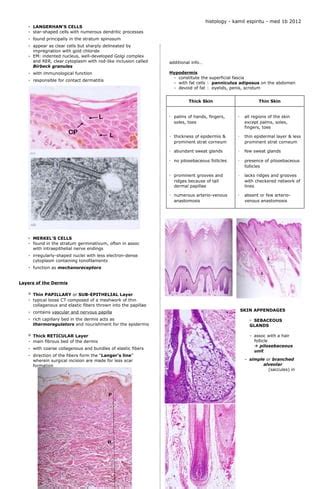 Lec14 Integumentary System | PDF