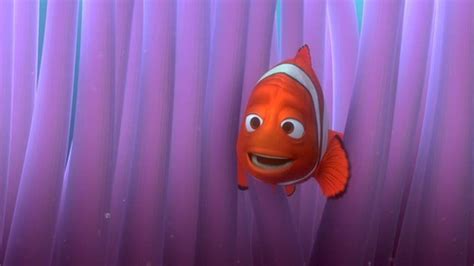 Finding Nemo - Finding Nemo Image (3561629) - Fanpop