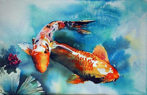 Coy Fish Watercolor at GetDrawings | Free download