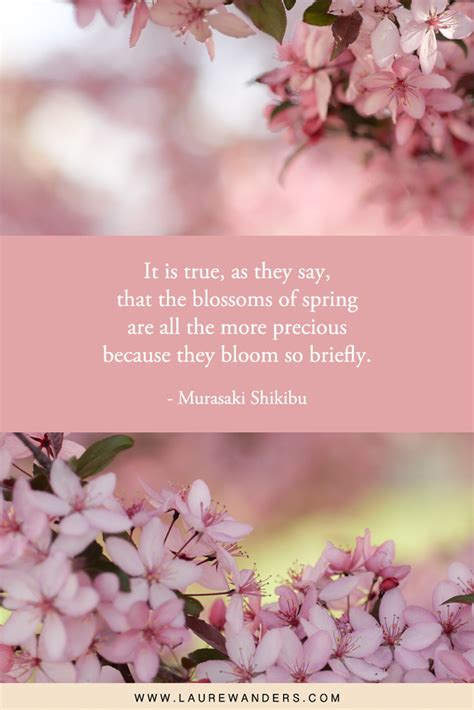 87 BEST Cherry Blossom Quotes and Captions - Laure Wanders