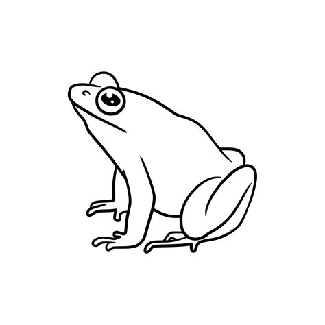 Frog line art drawing illustration 17286761 Vector Art at Vecteezy