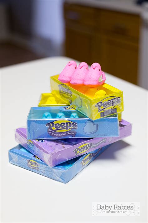 Leftover PEEPS Recipes