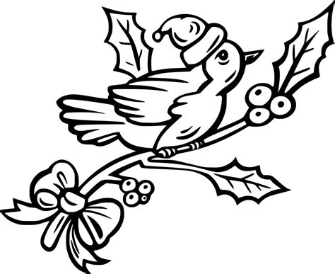 Christmas Robin Bird coloring page - Download, Print or Color Online for Free