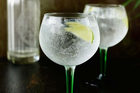 How To Make The Perfect Gin and Tonic - ILoveGin.com