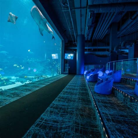 Event Venues In Atlanta Georgia | Georgia Aquarium