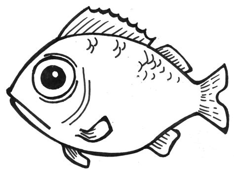 Free Simple Fish Drawing For Kids, Download Free Simple Fish Drawing For Kids png images, Free ...