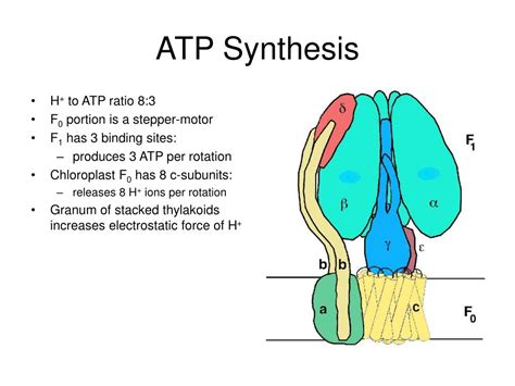 PPT - Artificial Photosynthesis PowerPoint Presentation, free download - ID:176938