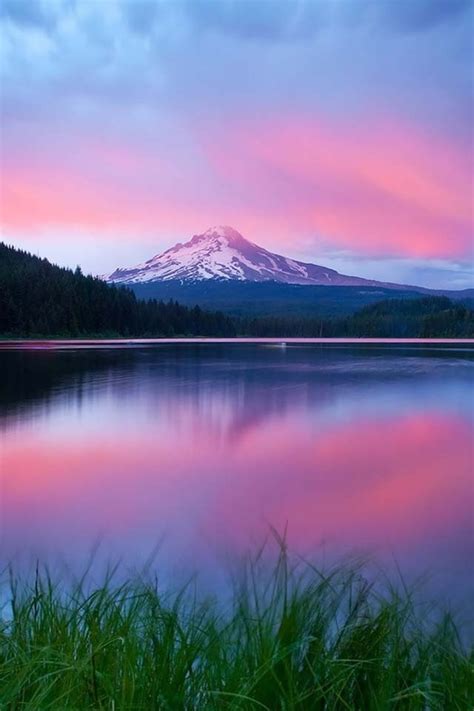 29 best Pink Outdoors images on Pinterest | Landscapes, Nature and ...