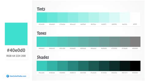 What is the color of Turquoise | Hexcolorpedia