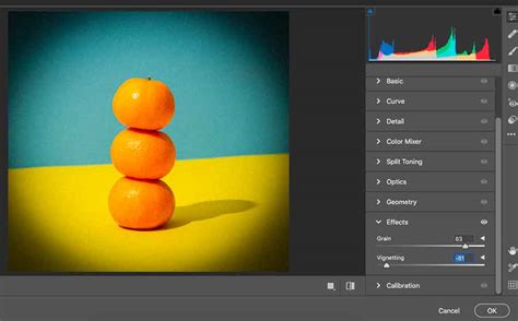 How to Create a Vignette Effect in Photoshop (Two Easy Methods)