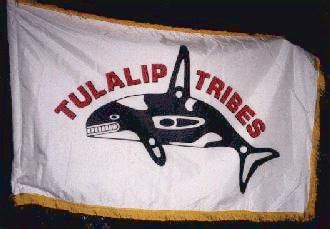 Flags of the US Indian Tribes