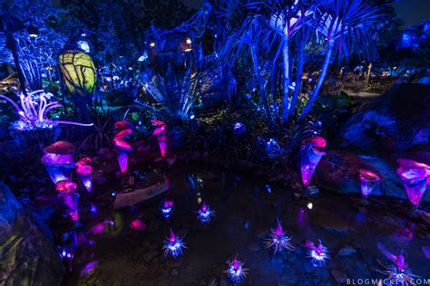 PHOTOS + VIDEO: Pandora - The World of Avatar Comes Alive at Night