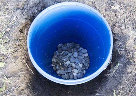 How To Make A DIY Dog Poo Compost - The Green Hub