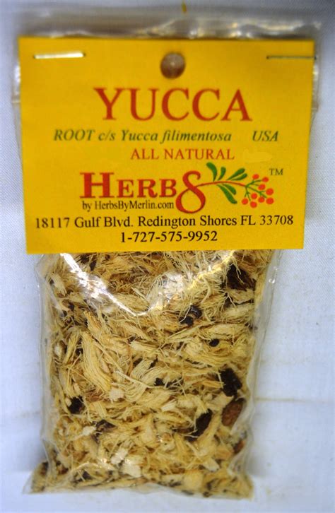 Yucca Root. Yucca Filimentosa - Etsy