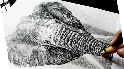 How To Draw Realistic Elephant, Realistic Elephant Drawing, Realistic Animal Drawing With Pencil ...