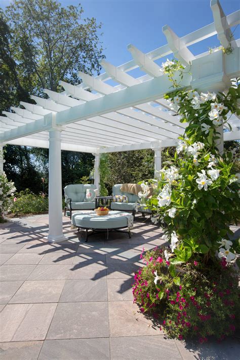 11+ Pergola Plants PNG - Plant Phrase