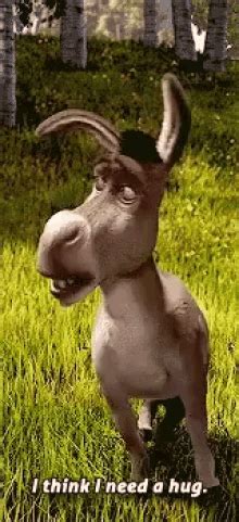 I Need A Hug Donkey GIF - I Need A Hug Donkey Shrek - Discover & Share GIFs