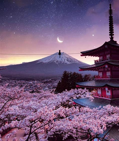 Autumn cherry blossom view of mount Fuji Japan : r/pics