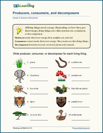 Ecosystems And Communities Worksheet