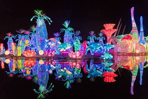 Dubai Garden Glow - Here's Why And When To Visit!