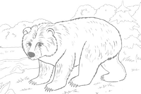 Printable Brown Bear Brown Bear Coloring Pages