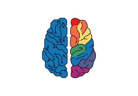 Human Brain Hemispheres Vector Illustration 551533 Vector Art at Vecteezy