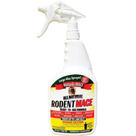 10 Best-Reviewed Mouse Repellents | The Family Handyman