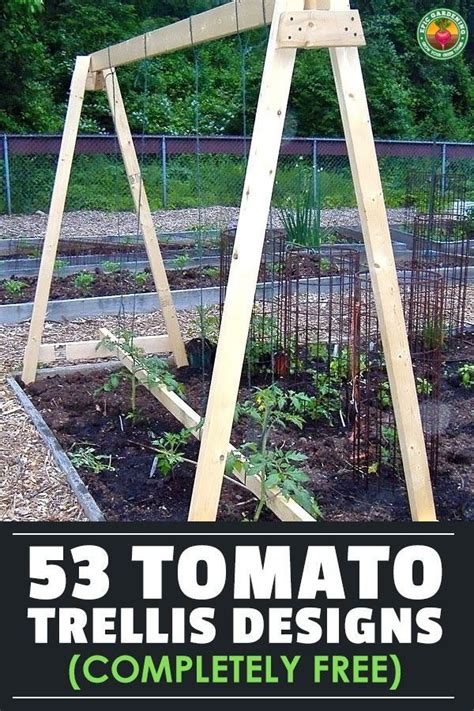 Easy diy string tomato trellis – Artofit