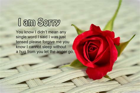 I am Sorry Messages For Wife - Sweet & Romantic - WishesMsg