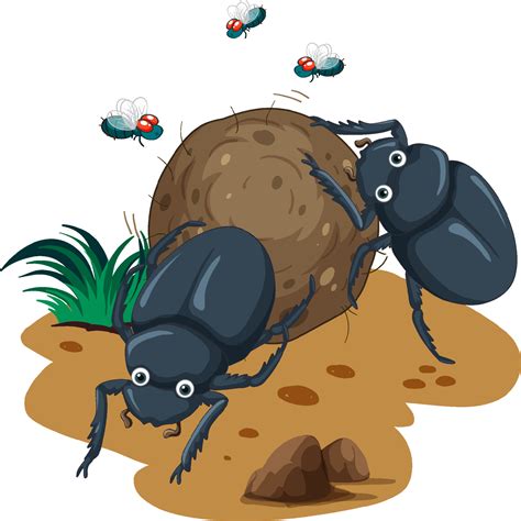 A dung beetle cartoon character 7105208 Vector Art at Vecteezy