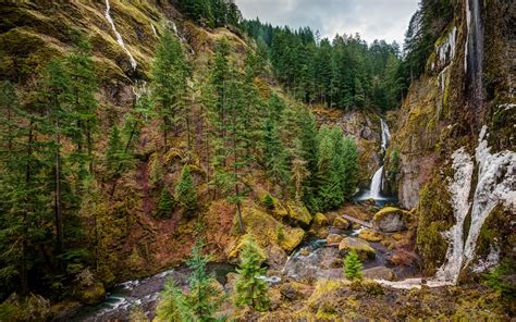 mountain, Waterfall, Tree, Forest, Nature Wallpapers HD / Desktop and Mobile Backgrounds