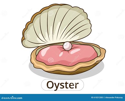 Cartoon Oyster Holding Pearl Cartoon Vector | CartoonDealer.com #50840007