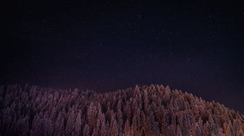 Stars Trees Night Dark Sky Wallpaper, HD Nature 4K Wallpapers, Images ...