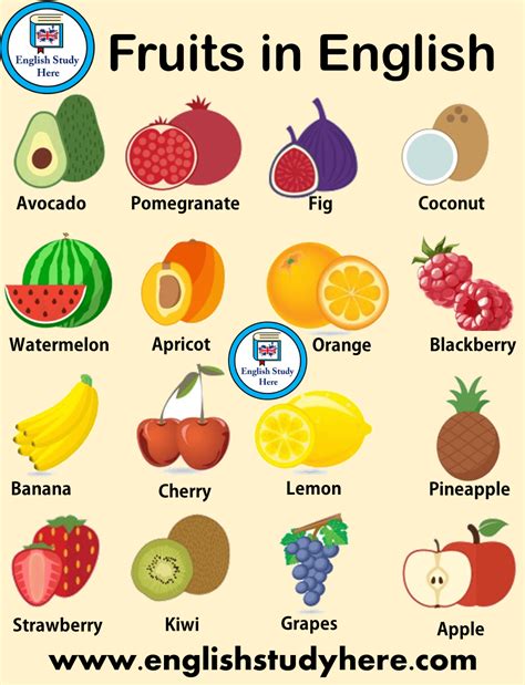 20+ basic fruits drawing - TanzeelaDuwa