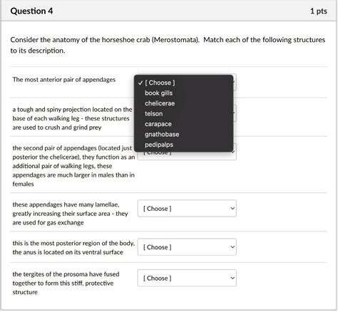 SOLVED: Consider the anatomy of the horseshoe crab (Merostomata). Match each of the following ...