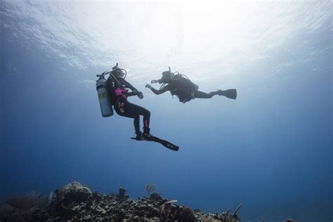 The Life of a PADI Divemaster — Roles and Responsibilities