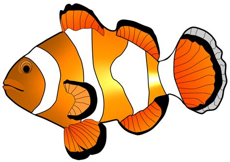 fish clipart pictures - Clipground