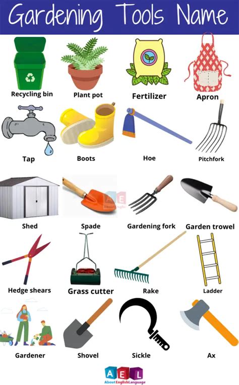 Useful Gardening Tools Names – Learn English online free