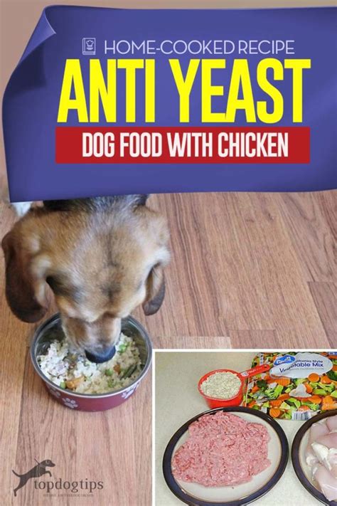 Homemade Anti Yeast Dog Food Recipe with Chicken