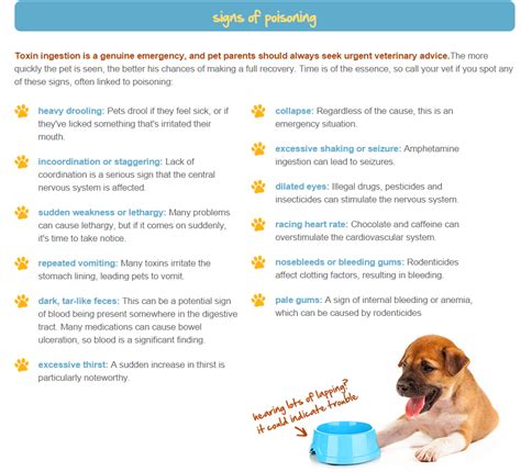 What Are The Symptoms Of Dog Poisoning