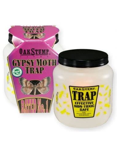 Gypsy Moth Trap Questions & Answers