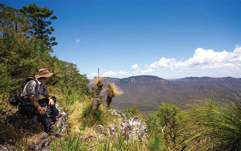 Scenic Rim Trail - Queensland Holidays - Natural Focus