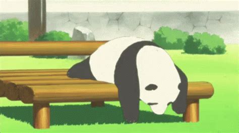 Lazy GIF - Lazy Panda - Discover & Share GIFs | Panda gif, Lazy gif ...