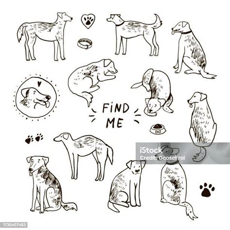 Adopt A Dog Vector Illustrations Set Stock Illustration - Download ...