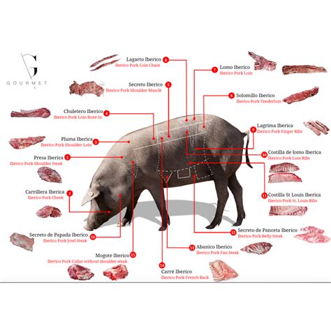 Iberico pork meat - GUIJUELO GOURMET - Wholesale B2B - The SHOwP