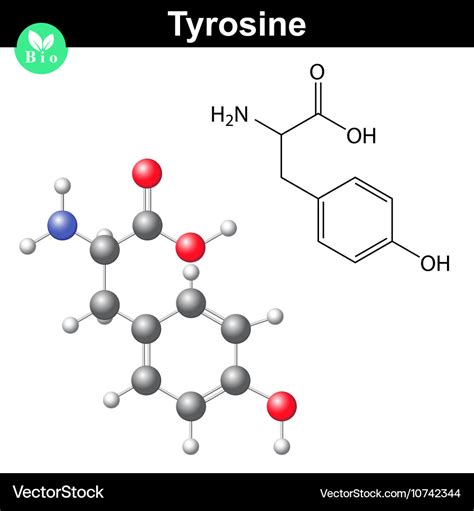 Phenylalanine amino acid chemical structure Vector Image